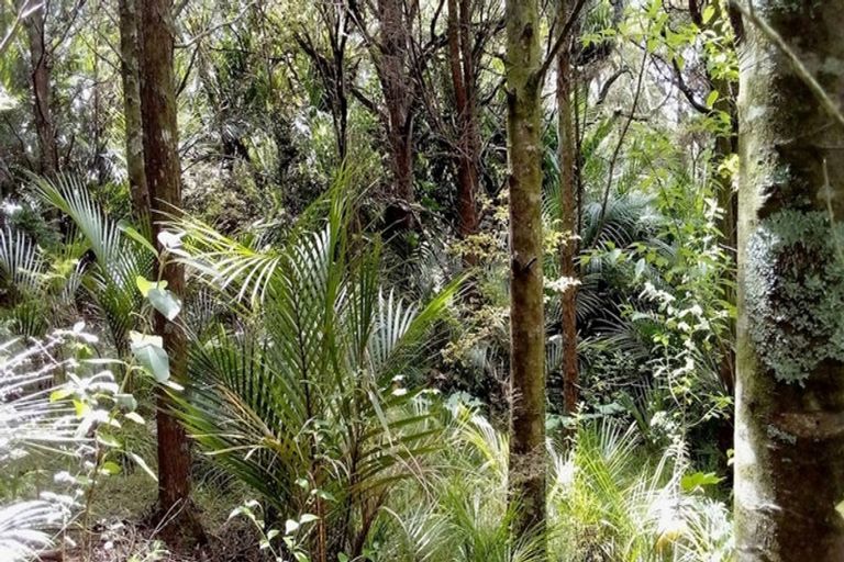 Photo of property in 108 Garbolino Road, Mangawhai, Kaiwaka, 0573