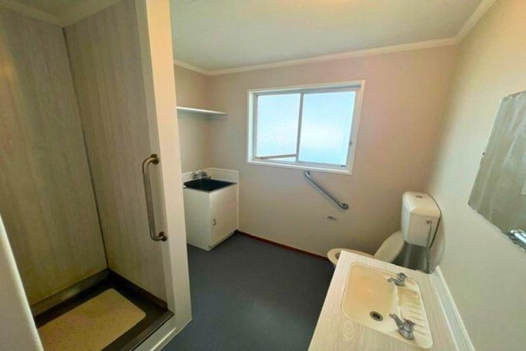 Photo of property in 45 Albert Street, Palmerston North, 4414