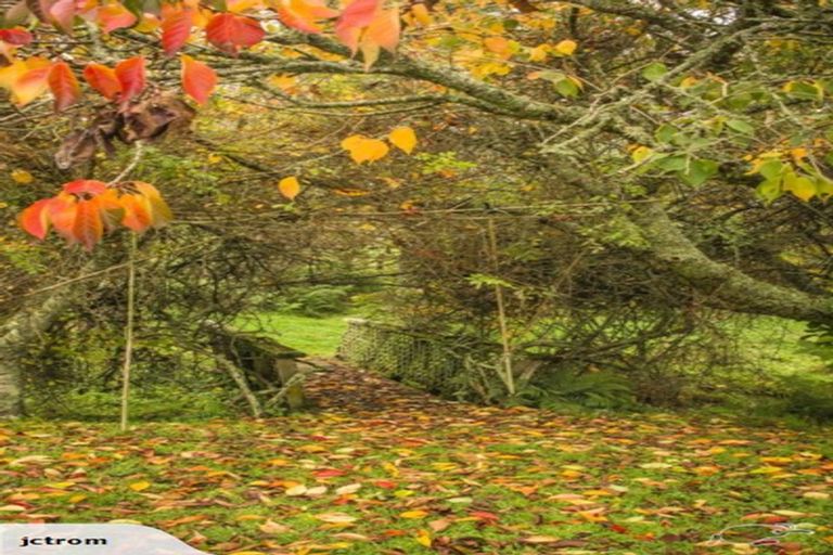 Photo of property in 1047 Wairehi Road, Wharepuhunga, Te Awamutu, 3874