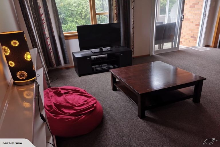 Photo of property in 191 Evans Street, Opoho, Dunedin, 9010