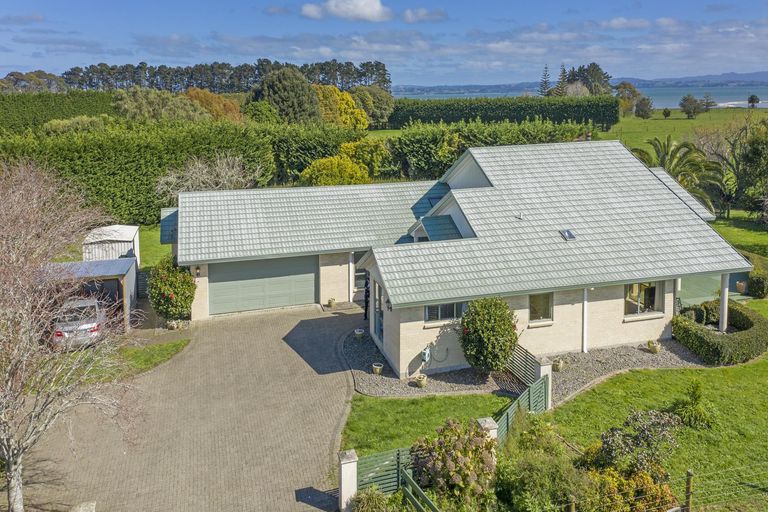 Photo of property in 305 Seagrove Road, Waiau Pa, Pukekohe, 2679