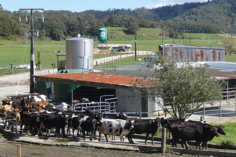 Photo of property in 738 Browns Creek Road, Inangahua, Reefton, 7895