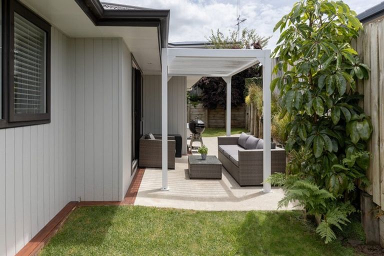 Photo of property in 20a Lincoln Terrace, Gate Pa, Tauranga, 3112