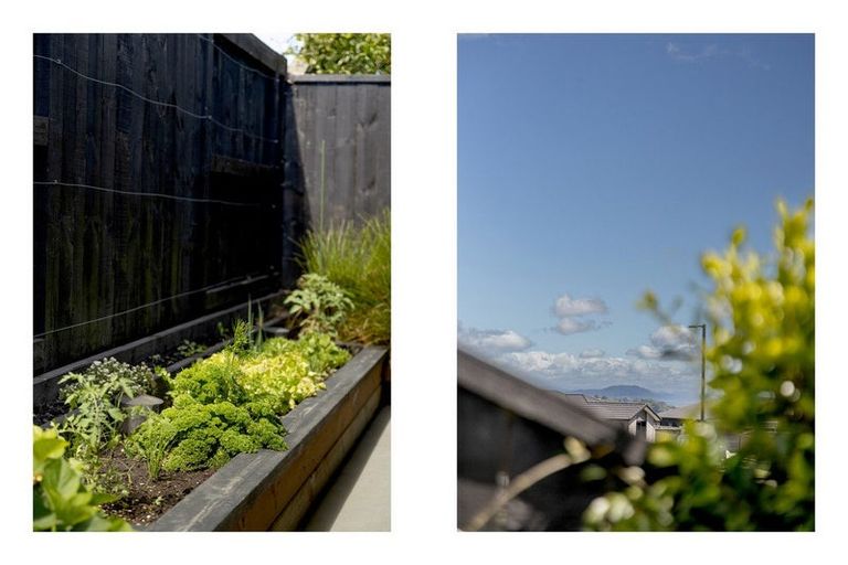 Photo of property in 73 Bert Wall Drive, Omokoroa, 3114