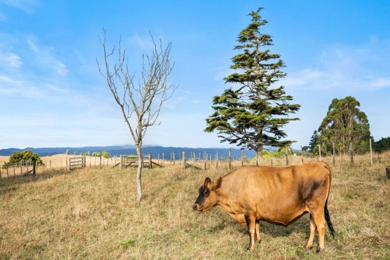 Photo of property in 1629a Ponga Road, Hunua, Papakura, 2584