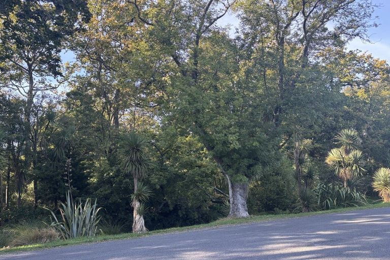 Photo of property in 293 Ashgrove Terrace, Somerfield, Christchurch, 8024