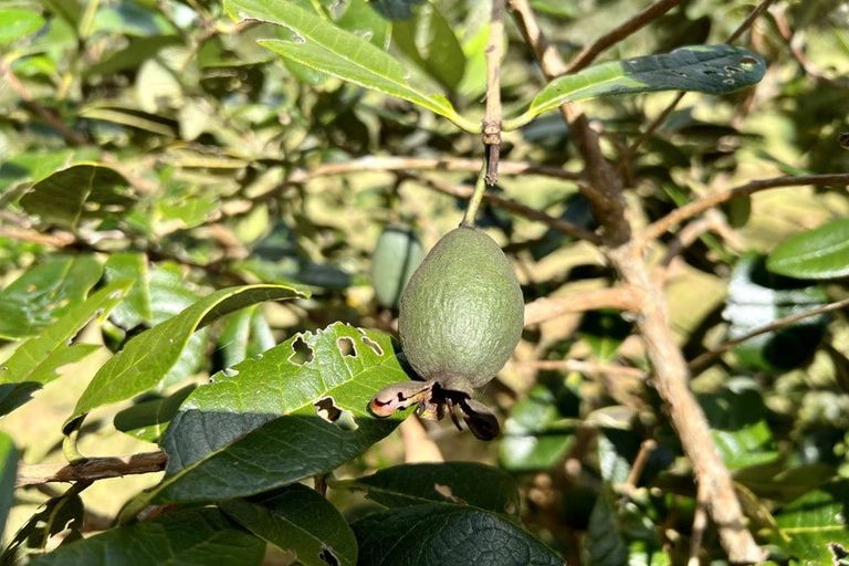 Photo of property in 1244 State Highway 10, Kerikeri, 0293