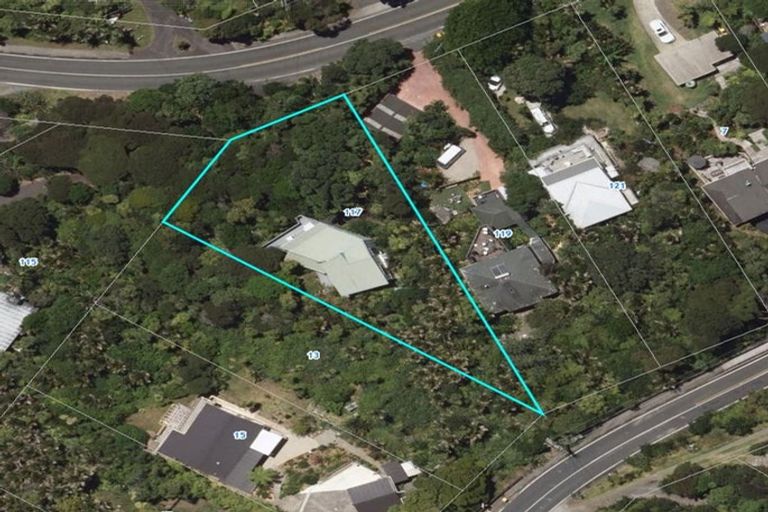 Photo of property in 117 Seaview Road, Piha, New Lynn, 0772