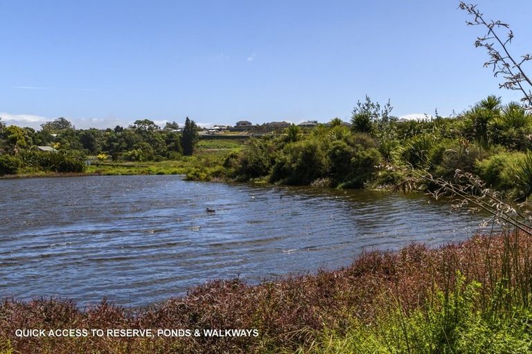 Photo of property in 113 Solomon Street, Brookfield, Tauranga, 3110