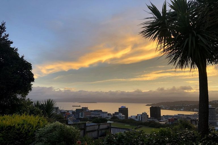 Photo of property in 19 Upland Road, Kelburn, Wellington, 6012