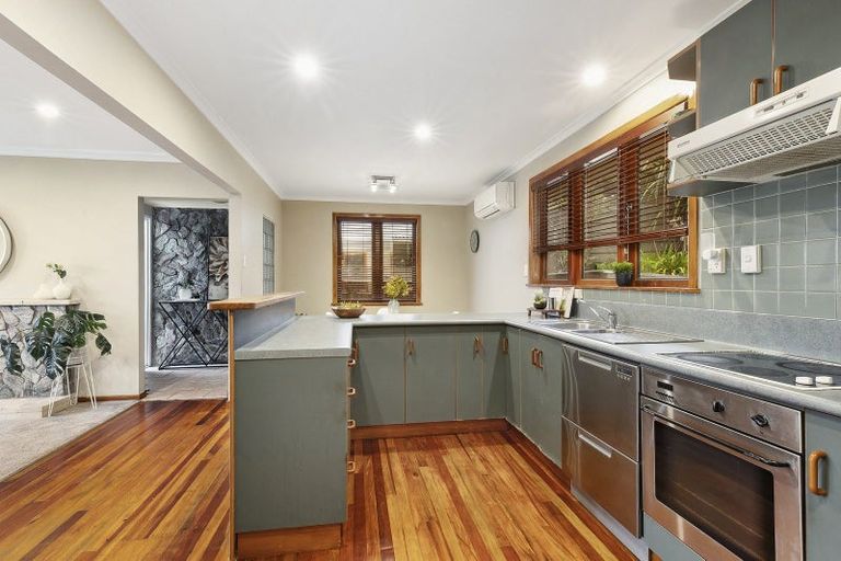 Photo of property in 33 Bedford Street, Northland, Wellington, 6012