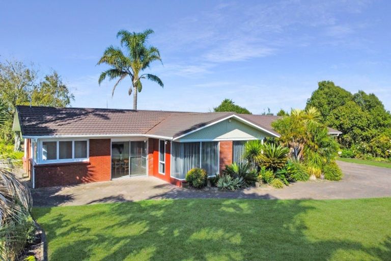 Photo of property in 641 Thornton Road, Thornton, Whakatane, 3194
