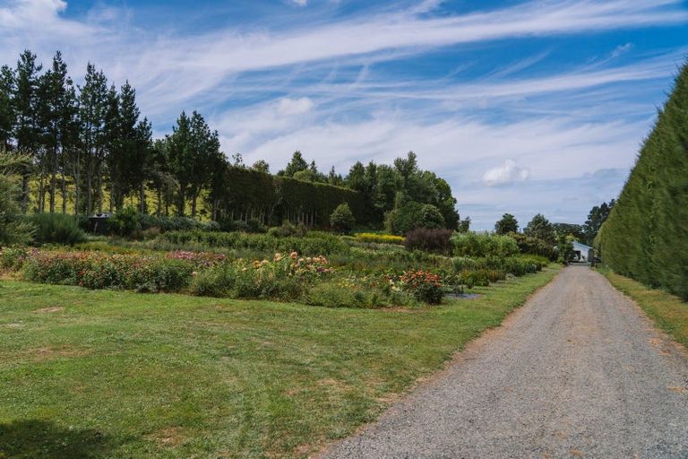 Photo of property in 259 Wainui Road South, Whakamarama, Katikati, 3181
