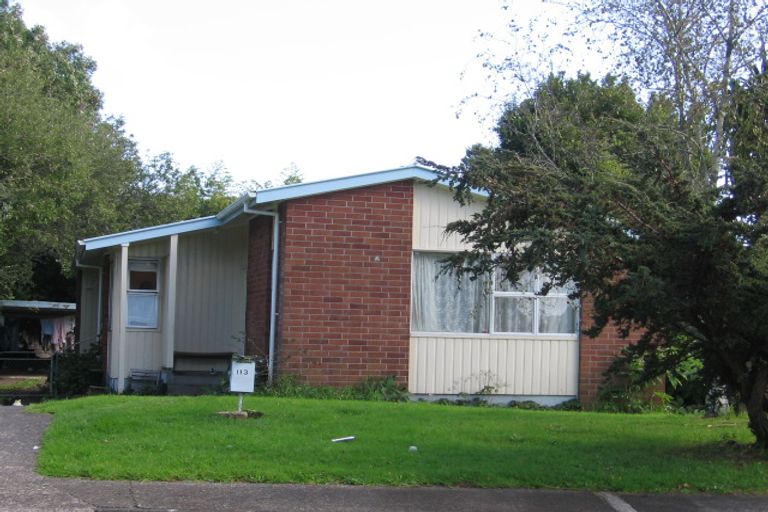 Photo of property in 113 Riverpark Crescent, Henderson, Auckland, 0610