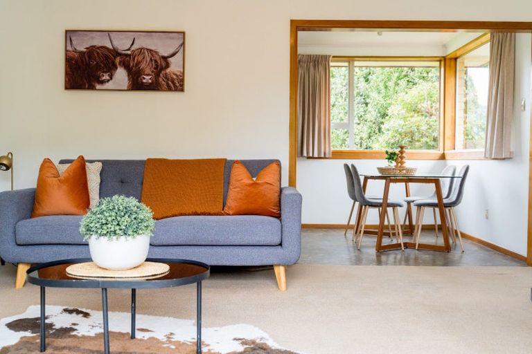 Photo of property in 47 Formby Street, Outram, 9019