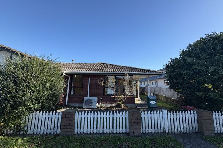 Photo of property in 12 Birch Street, Hutt Central, Lower Hutt, 5010