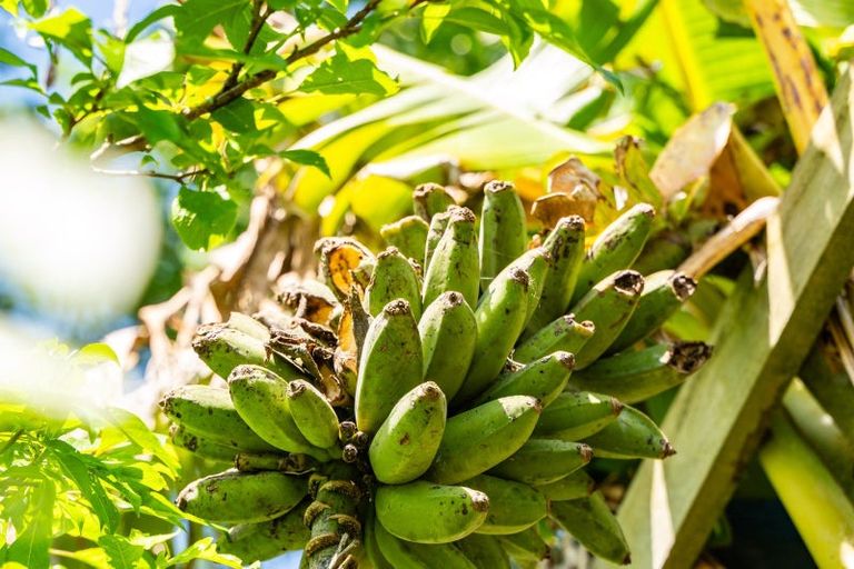 Photo of property in 61a Hilton Road, Lynmore, Rotorua, 3010