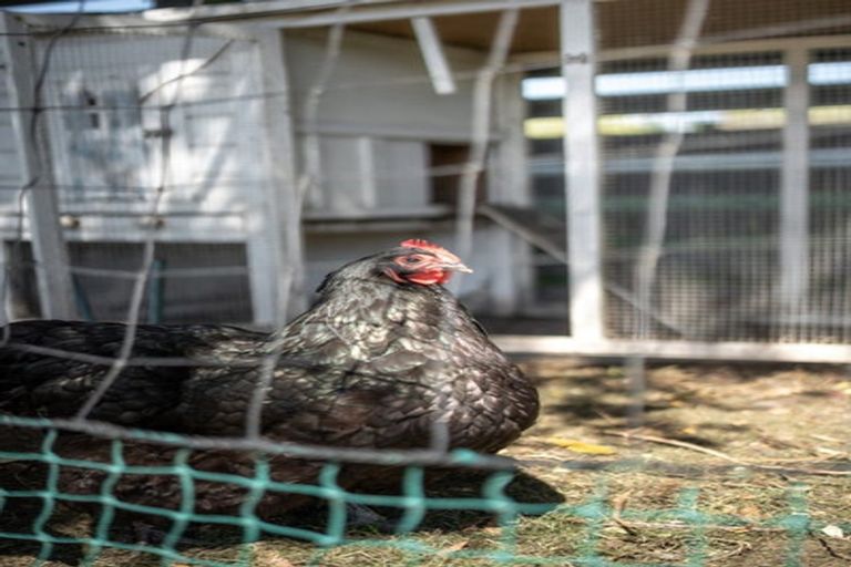 Photo of property in 26 Marshs Road, Templeton, Christchurch, 8042