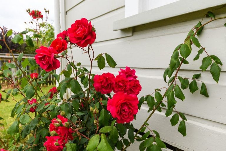 Photo of property in 24 Main Street, Marton, 4710