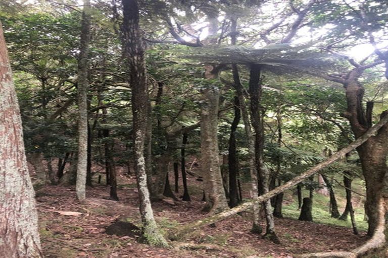 Photo of property in 504b Wairere Road, Maungaturoto, 0571