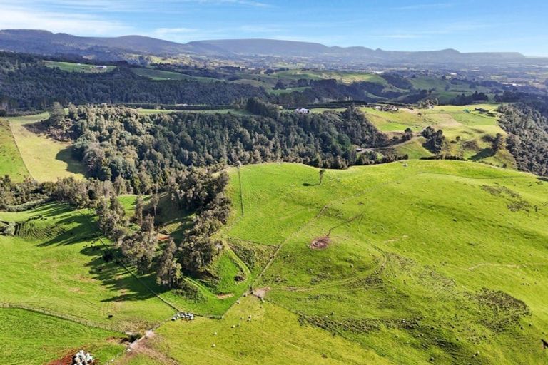 Photo of property in 687 Work Road, Whakamarama, Katikati, 3181