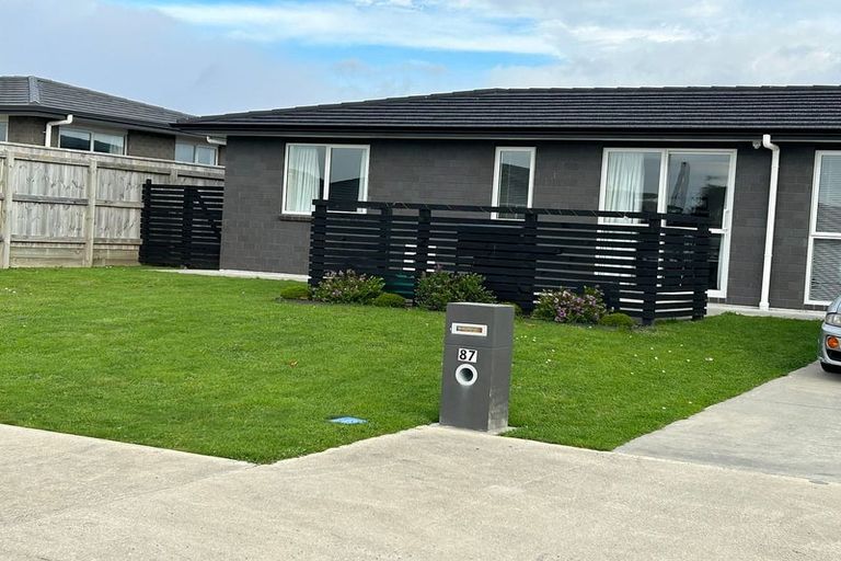 Photo of property in 87 Hinemoa Street, Levin, 5510