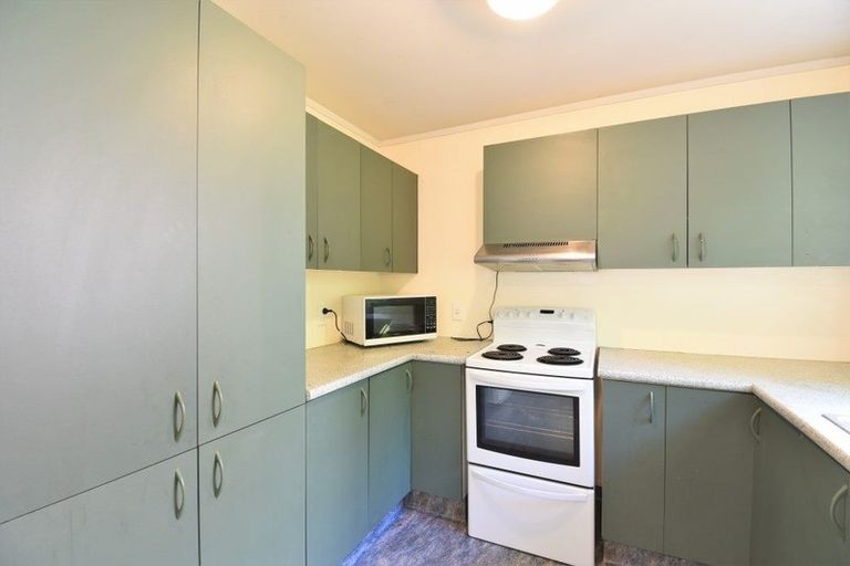 Photo of property in 63 Opoho Road, North East Valley, Dunedin, 9010