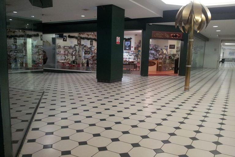 Photo of property in 51 Queens Drive, Saint Kilda, Dunedin, 9012