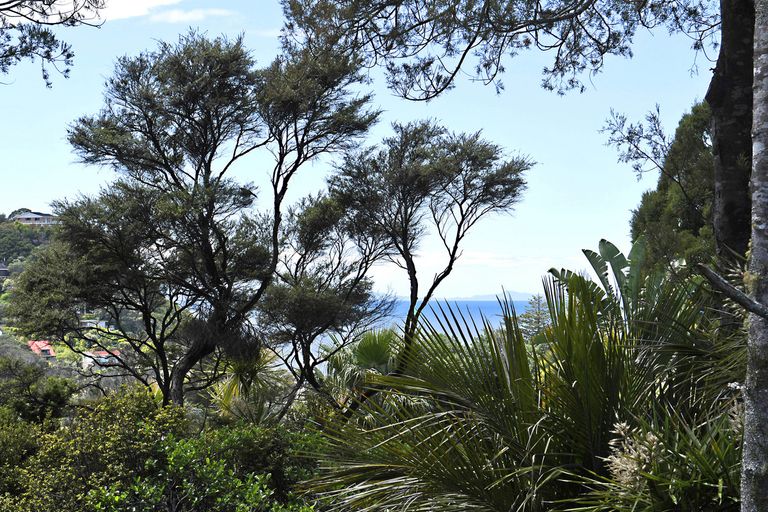 Photo of property in 21 Spray Crescent, Leigh, 0985