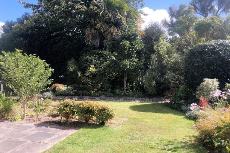 Photo of property in 81 Queenwood Road, Levin, 5510