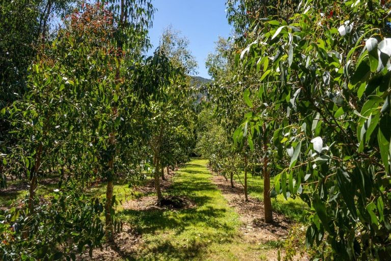 Photo of property in 1406 Queen Charlotte Drive, Linkwater, Picton, 7281