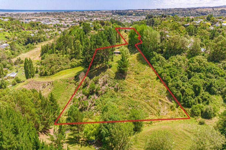 Photo of property in 50 Shakespeare Road, Bastia Hill, Whanganui, 4500