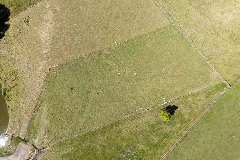 Photo of property in 101 Kyle Road, Waipukurau, 4281