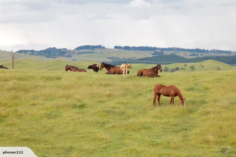 Photo of property in 761 Crownthorpe Sett Road, Crownthorpe, Hastings, 4179