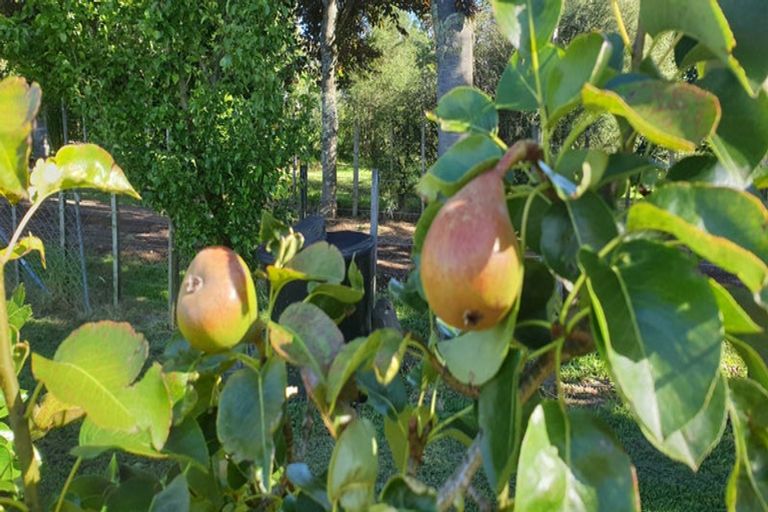 Photo of property in 61 Shannon Street, Ohakune, 4625