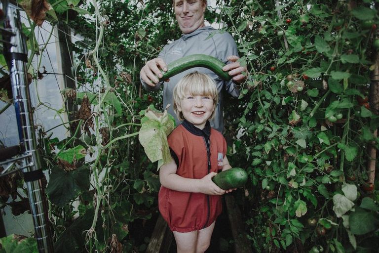 Photo of property in 17 Pekanga Drive, Fox Glacier, 7886