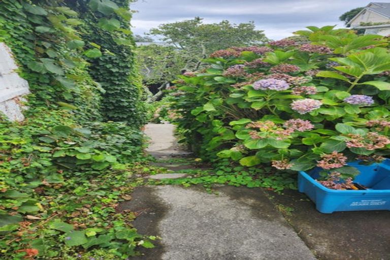 Photo of property in 28 Bayly Road, Moturoa, New Plymouth, 4310