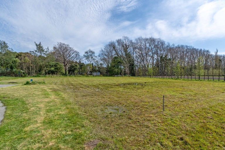 Photo of property in 50 Orchard Road, Greytown, 5712