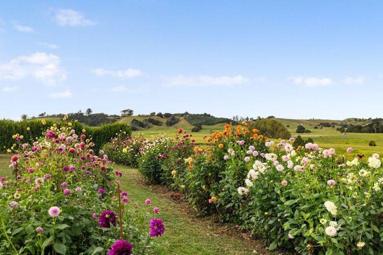 Photo of property in 980 Te Pahu Road, Te Pahu, Hamilton, 3285