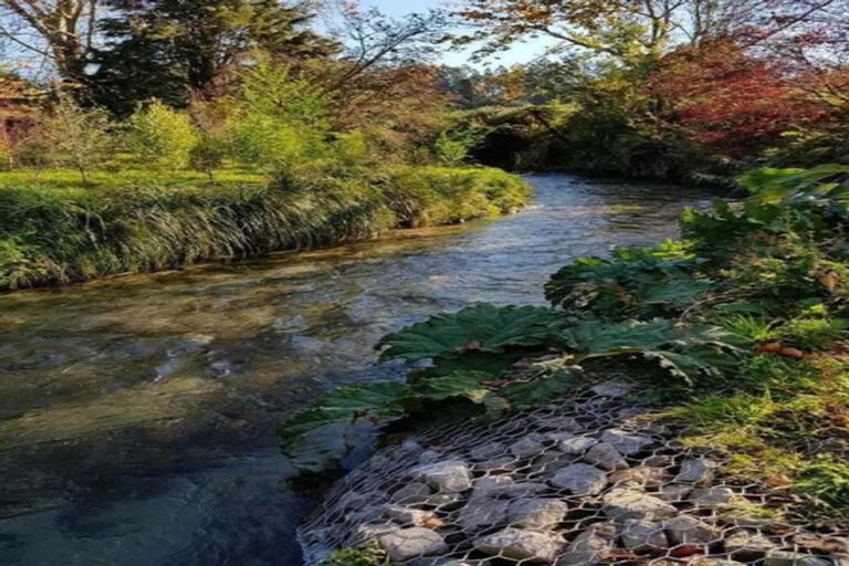 Photo of property in 5 Erlam Place, Matipo Heights, Rotorua, 3015