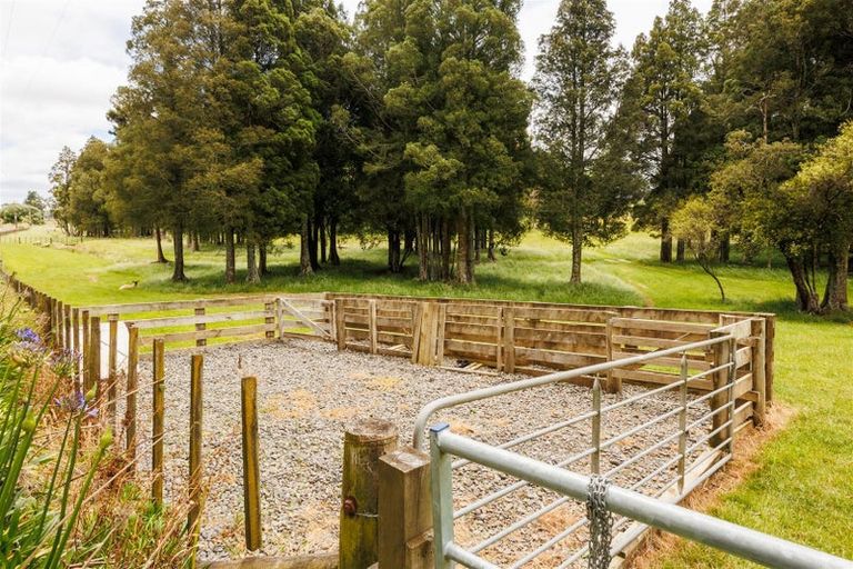 Photo of property in 361 Warrens Road, Marton, 4788