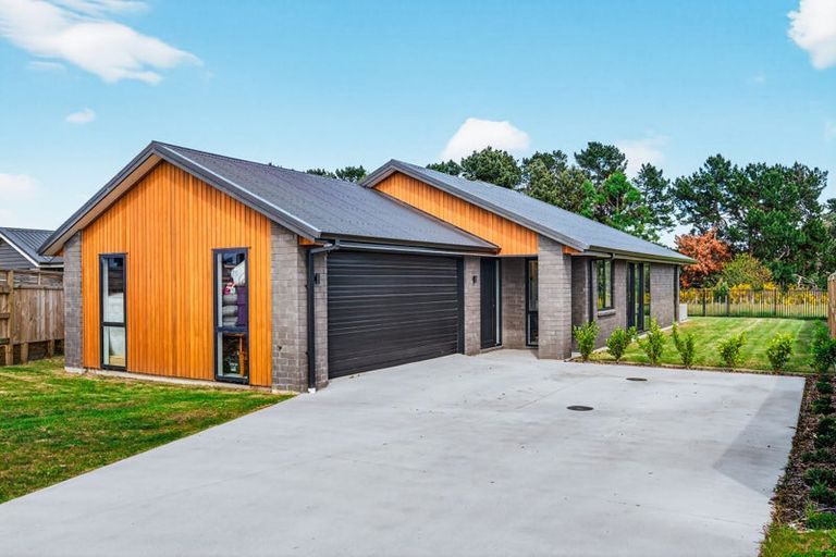 Photo of property in 48 Maru Terrace, Wharewaka, 3330