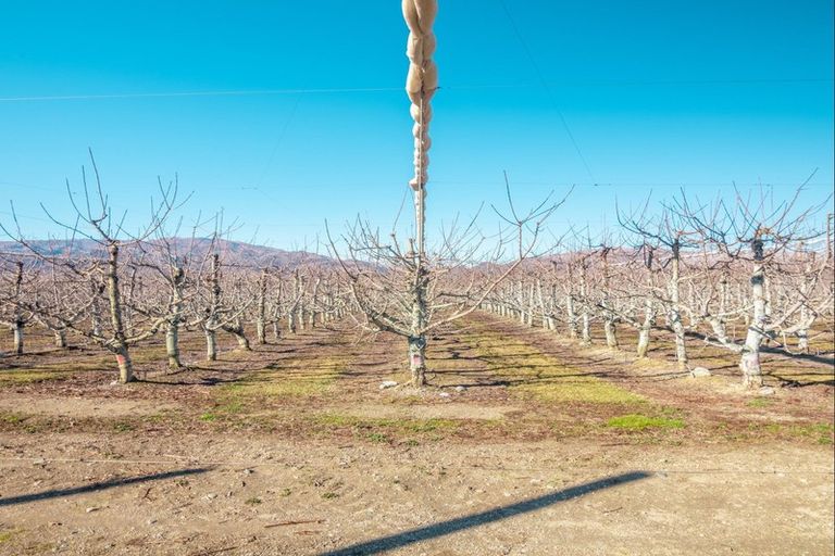 Photo of property in 319 Ripponvale Road, Cromwell, 9384