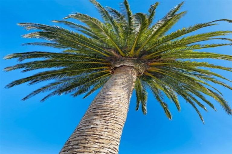 Photo of property in 14 Sheehan Street, Halswell, Christchurch, 8025