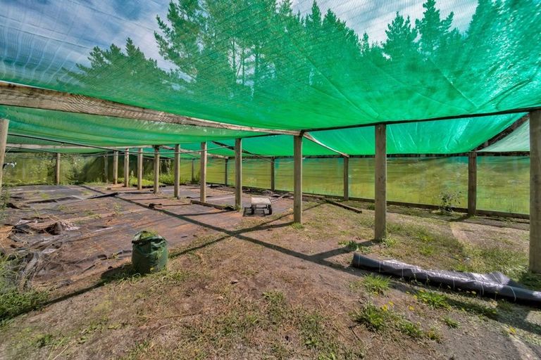 Photo of property in 620 Frankley Road, Hurworth, New Plymouth, 4371