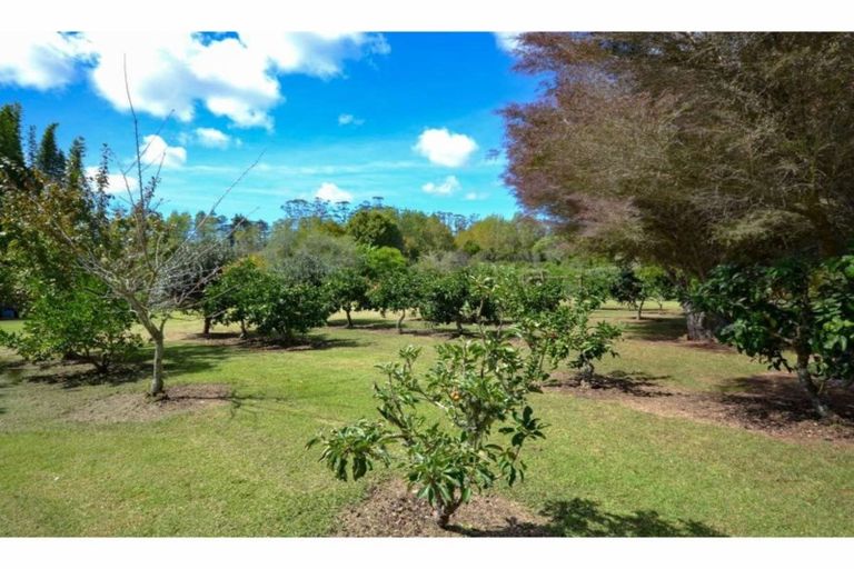 Photo of property in 38a Shepherd Road, Kerikeri, 0230
