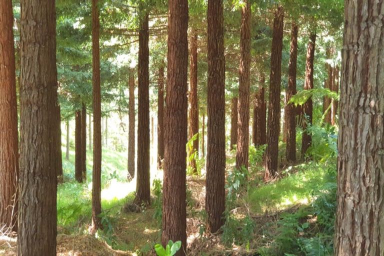 Photo of property in 521b Kauaeranga Valley Road, Thames, 3577