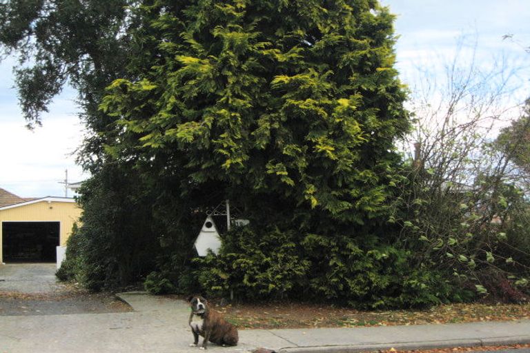 Photo of property in 19 Totara Avenue, Balclutha, 9230