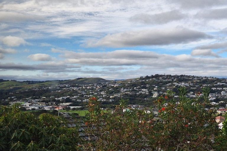 Photo of property in 116 John Sims Drive, Johnsonville, Wellington, 6037