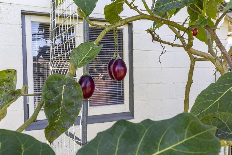 Photo of property in 560 Great South Road, Huntly, 3700